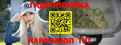 прущие грибы Краснознаменск