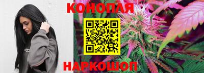 гидра Краснокаменск