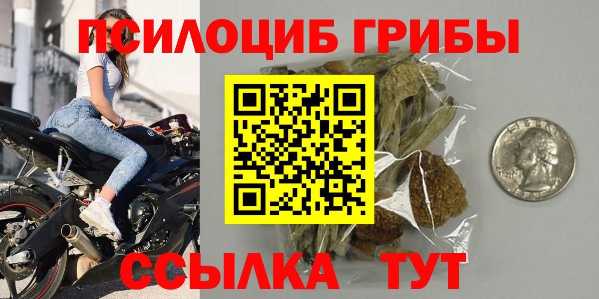 Кинель  Псилоцибиновые грибы прущие грибы  Галлюциногенные грибы Psilocybe  Вход с VPN 